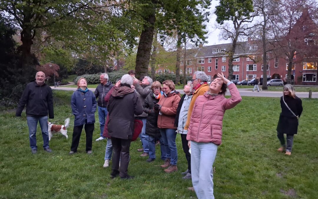 Vleermuisexcursie in het Noorderplantsoen