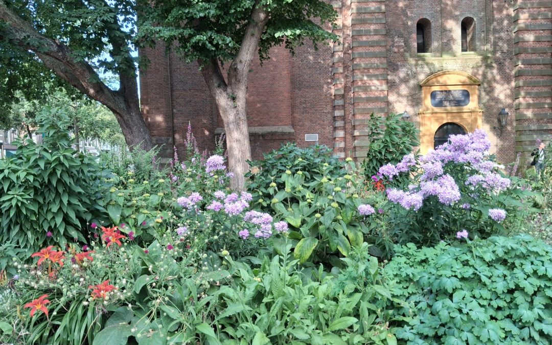 Lustrum geveltuinwedstrijd