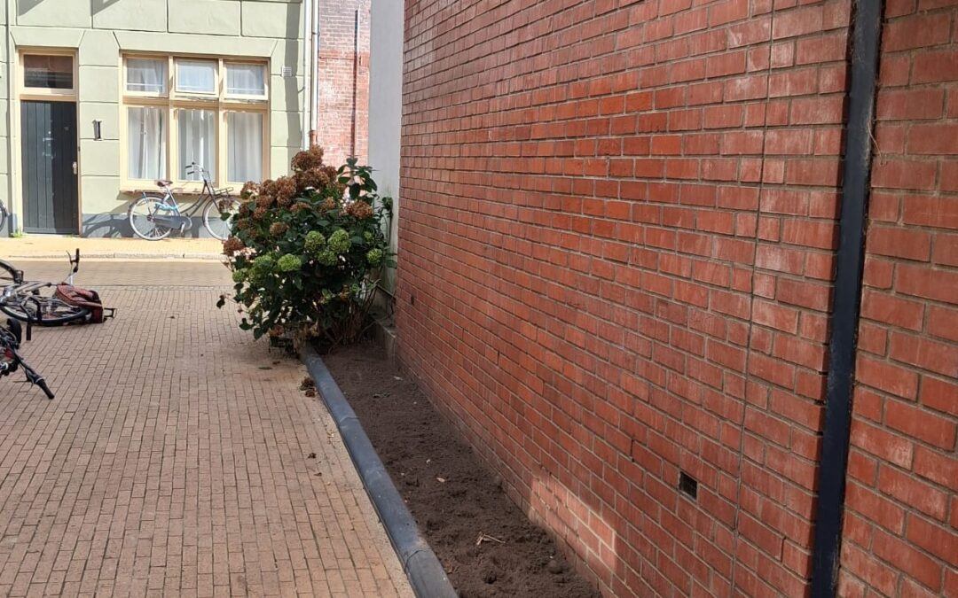 Nieuwe geveltuintjes in het A-Kwartier